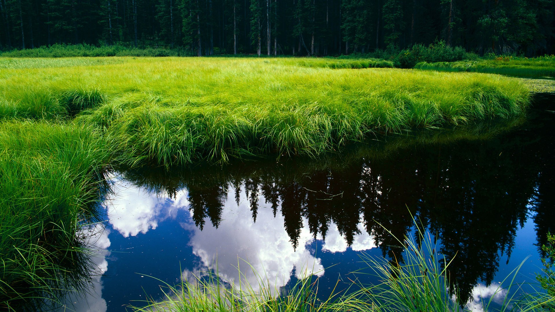 体育入口-唯一正确的道路，从绝境到终场哨响，贝恩用行动重写热火剧本