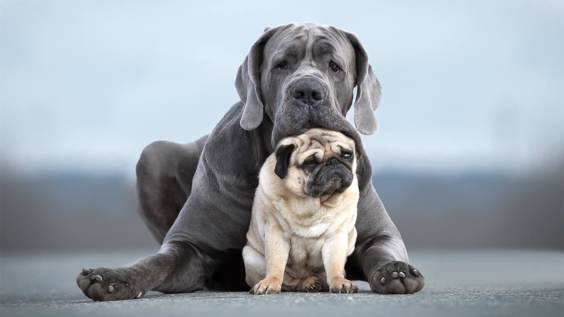 双线焦点,当英超争冠的硝烟,弥散在芬兰绝杀塞内加尔的午夜