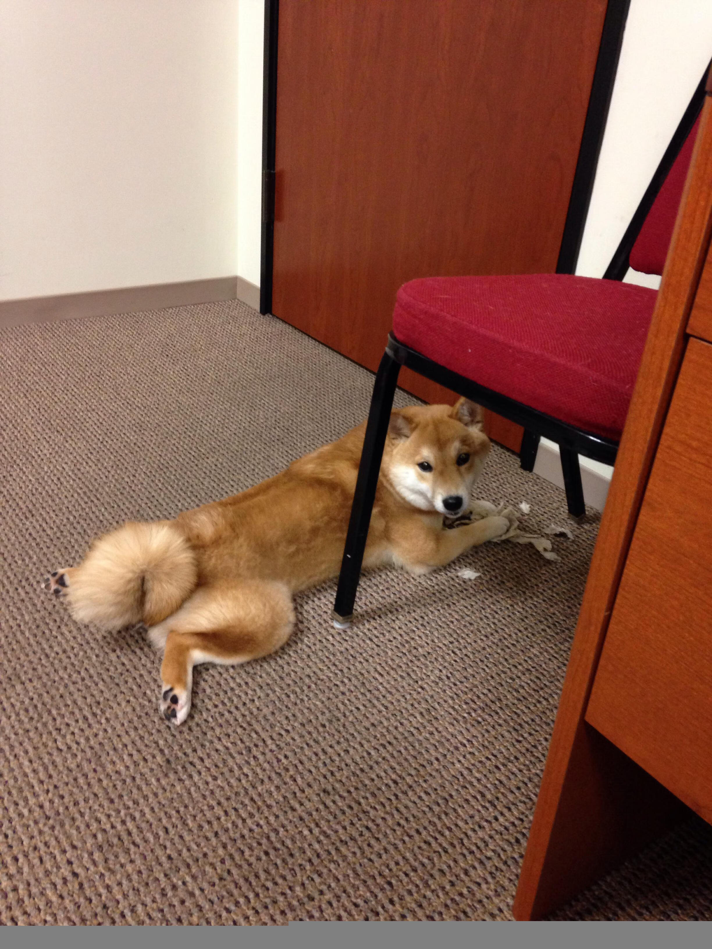 官网-阿什拉夫一锤定音，塞内加尔友谊赛上演惊天逆转拉齐奥