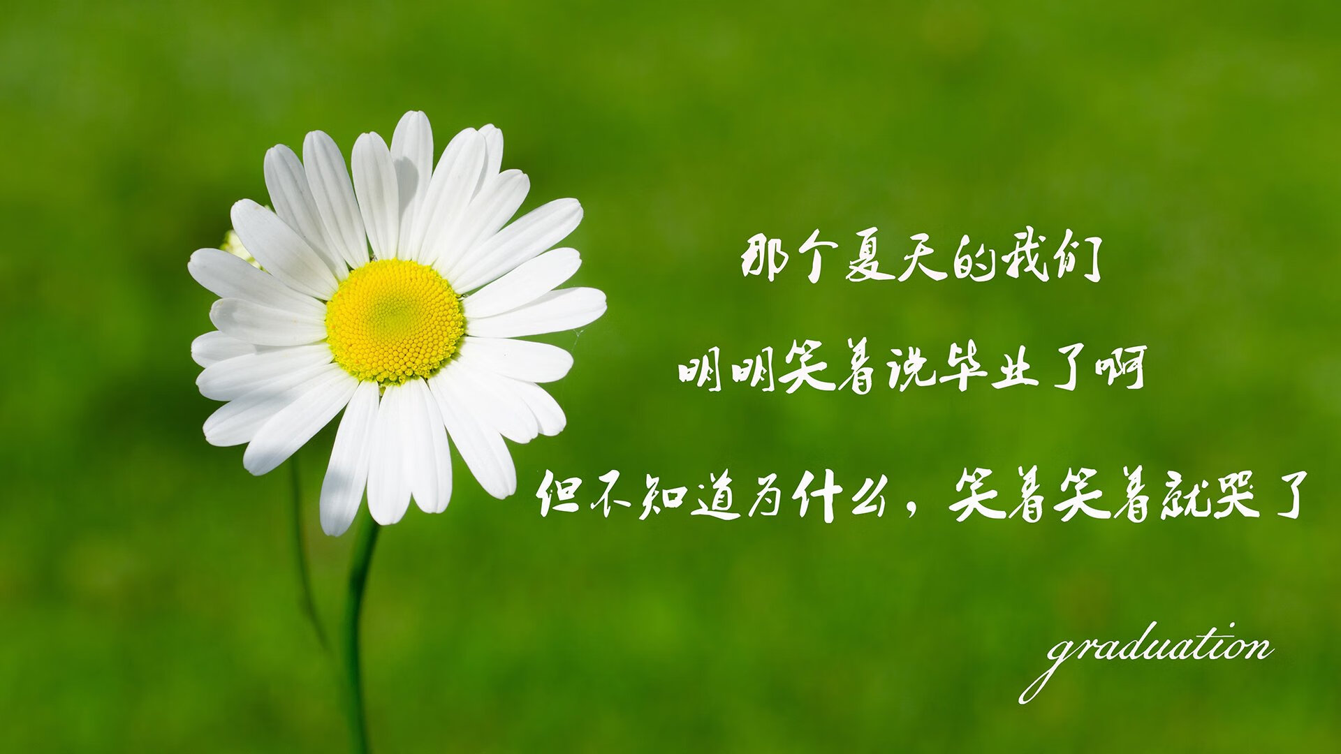体育在线-绝境中的唯一圣剑，2026世界杯决赛，B费与厄瓜多尔铸就的永恒一瞬